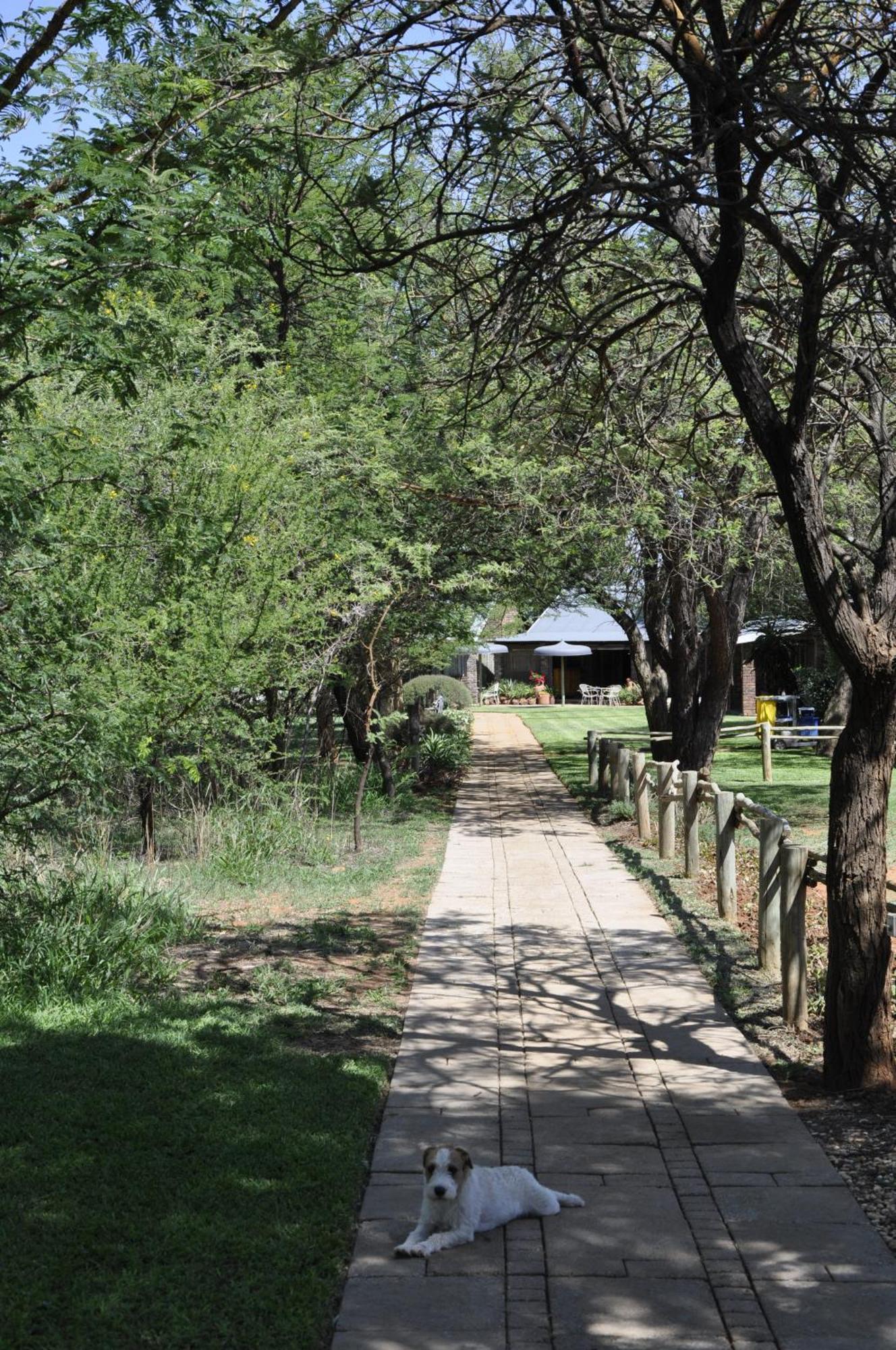 Grincourt B&B- With No Load Shedding Polokwane Exterior foto