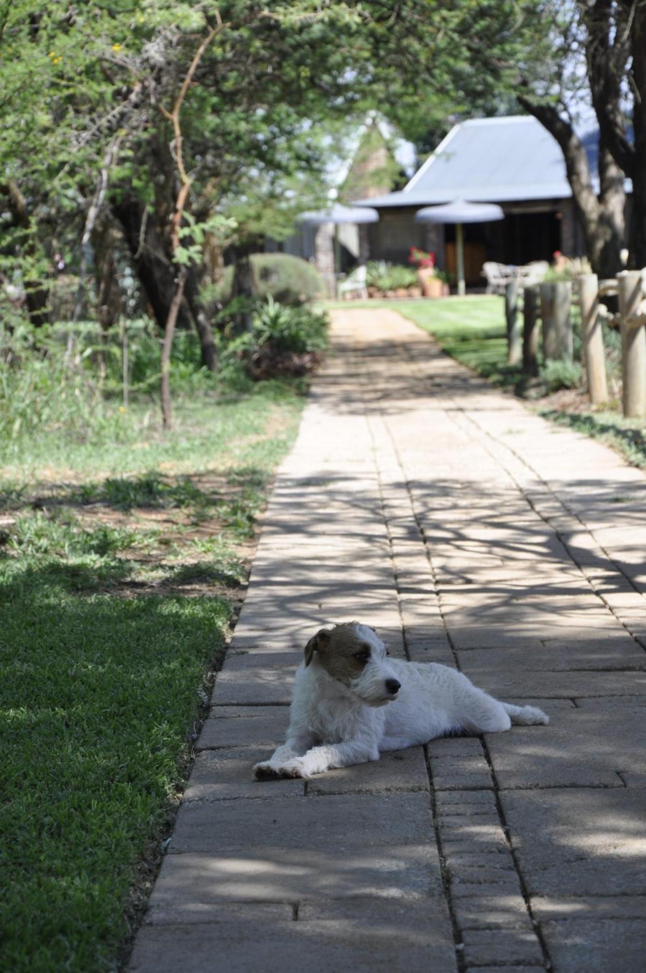 Grincourt B&B- With No Load Shedding Polokwane Exterior foto